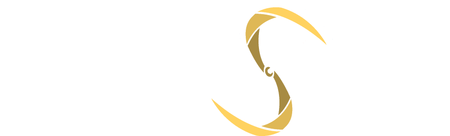 Logo Pulsar42
